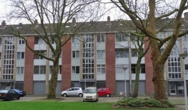 Grote Ruwenberg