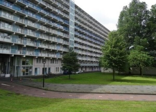 Hogevecht